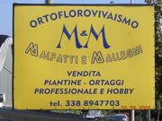 MALFATTI & MALLEGNI s.s. MALFATTI & MALLEGNI s.s.