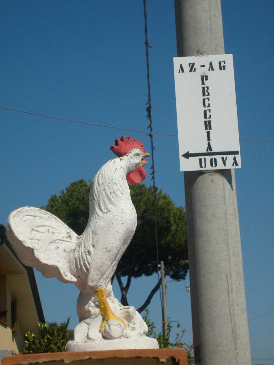 AZIENDA AGRICOLA PECCHIA GIOVANNI