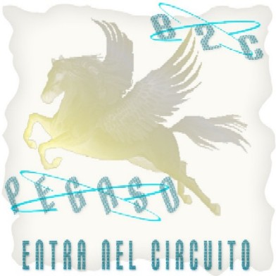 B2C Pegaso B2C Pegaso