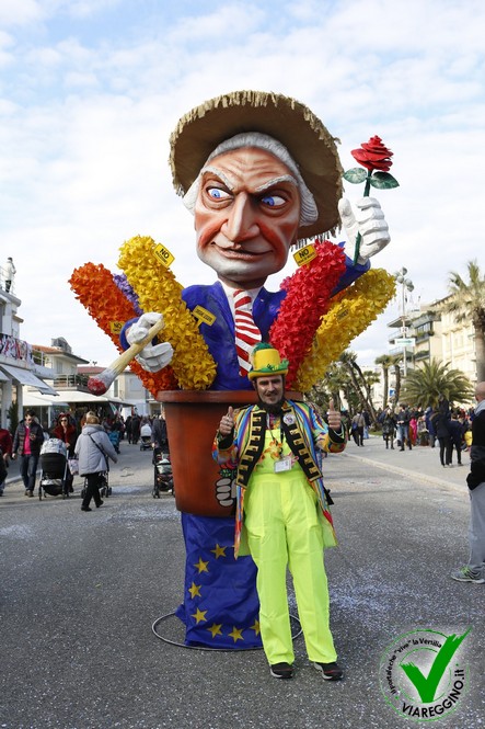 I fiori di giacinto