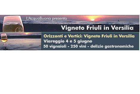 Vigneto Friuli a Viareggio :