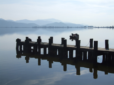 Torre del Lago passata al setaccio durante il fine settimana dalle Forze di Polizia