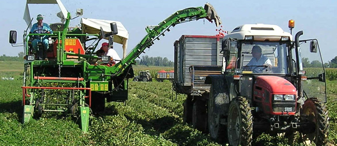 Settore agricolo: possibile abbattimento dell’IMU per terreni e fabbricati strumentali