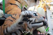 Vicinanza del mondo del Carnevale alla Città di Sciacca e ai genitori del piccolo Salvatore