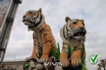 Luca Bertozzi vince la seconda categoria e avanza in prima