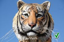 Nasce il nuovo archivio del Carnevale di Viareggio