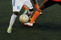 Scommesse sportive online