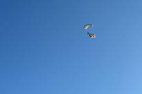 E dal cielo arriva la Burlamacca