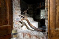 La “Driftwood Art” approda in sala delle Grasce a Pietrasanta