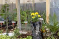 È la Via dell’Orto, la Natura che arreda la Città: torna il contest degli Orti Creativi