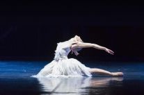 Torna domani il grande balletto in Versiliana:  in scena “Il Lago dei Cigni, ovvero il Canto”