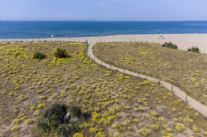 Al via i lavori di rifacimento della recinzione dell’oasi naturalistica delle Dune