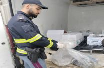 2000 euro di multa a tirista per trasporto irregolare di sostanze alimentari