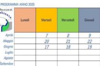 Forte, parte il piano contro le zanzare: interventi mirati e sostenibili