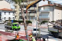 200 nuove piantumazioni sulla Passeggiata di Lido di Camaiore