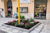 Iniziata la riorganizzazione della manutenzione "verde" negli spazi pubblici