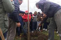 Nuovi nati a Seravezza, per ciascuno verrà piantato un albero