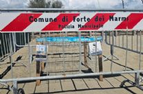 Attesa per la schiusa delle uova di tartaruga sulla spiaggia libera