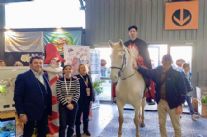 Diego Giona Burlamacco a cavallo a Verona