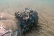 Recuperate a Tonfano le copie bronzee dei Bronzi di Riace