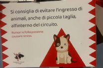 Stop ai cani durante il corso mascherato