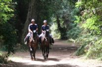 Arrestati due latitanti brasiani per traffico internazionale di stupefacenti