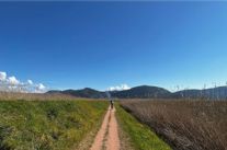 Ciclo Classica Puccini 2026