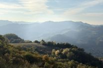 Cammino '44 Sant'Anna di Stazzema - Monte Sole: nasce il cammino laico della memoria