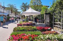 A Tonfano “sboccia” il sold-out per “Marina in Fiore”