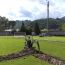 Nuovo manto erboso per lo Stadio Comunale di Camaiore