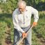 Agricoltura sociale, Massarosa promuove il progetto “Nonni per tutte le stagioni”