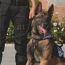 Al Forte controlli serrati della Polizia Locale