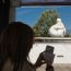Domenica in trenino dalla Marina al Museo dei Bozzetti