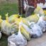 Al Terminal Bus il nuovo “cleanup” di PlasticFree