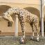 La Giraffa di Allegrucci da oggi in mostra a Parma per la Paper Week