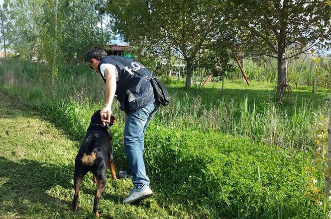 Scomparso nel 2010 da Certaldo, si cerca il corpo nella zona di Torre del Lago