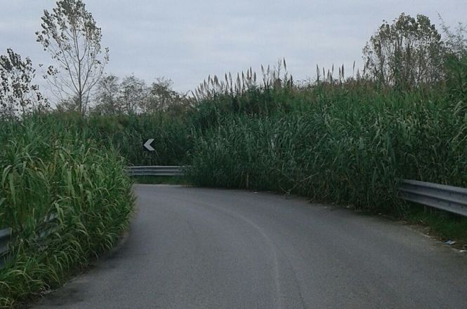 Asfaltature in via della foce: terzo cantiere aperto in 15 giorni. Al via la mappatura di Torre del Lago