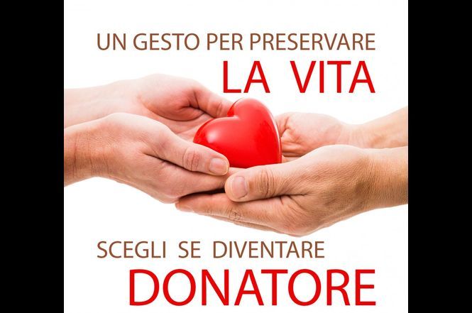 Massarosa: Attivato presso l’anagrafe il servizio per dichiarare la propria volontà rispetto alla donazione di organi e tessuti