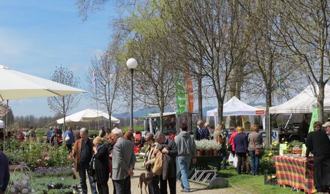 I tappetari di Camaiore a Verdemura