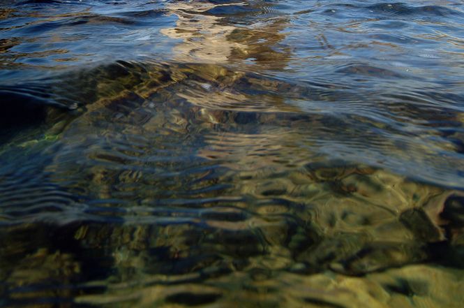 Qualità delle acque di balneazione: sono stati spesi 900mila euro e la sperimentazione non è ancora partita.