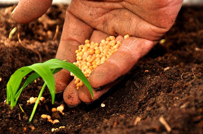 Confagricoltura Toscana: "Ecco le nostre richieste alla Regione"