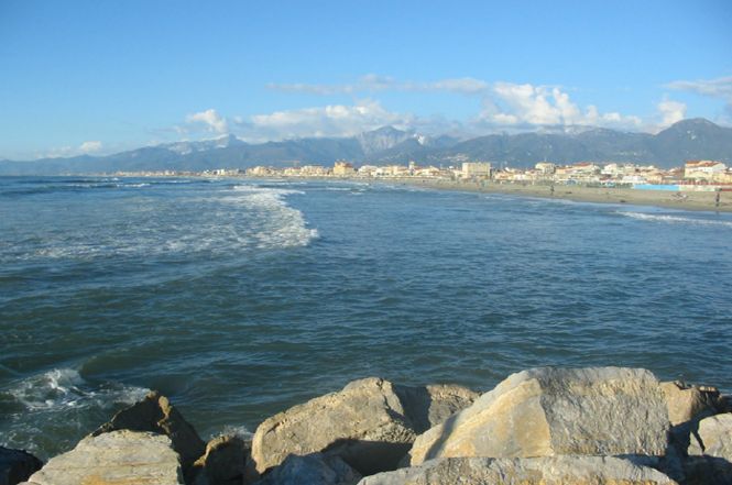 Pd Viareggio: "“Si provi a mantenere unita la collezione Pieraccini"