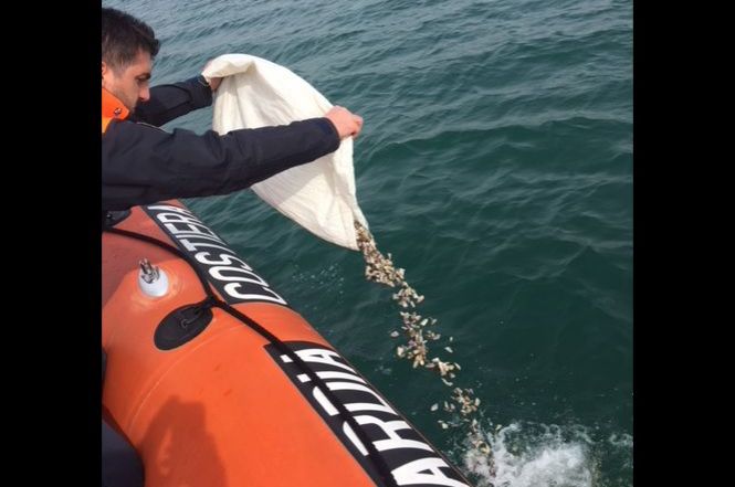Viareggio, sequestrati prodotti ittici di dubbia provenienza