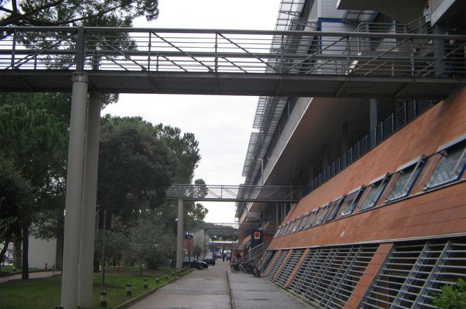 Un caso di meningite da meningococco C in una di 61 anni. Le sue condizioni sono buone
