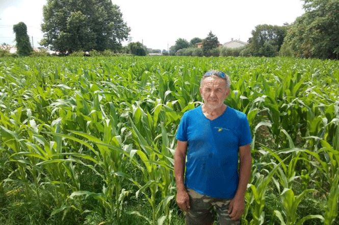 Mulino Navari: sui nostri campi tra Montramito e Brentino produzione di eccellenza