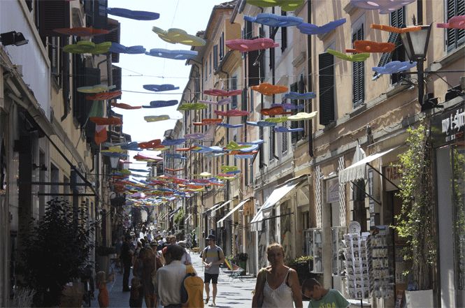 Eventi: ecco la strada delle farfalle volanti, le mariposas solidali di Valdés colorano Pietrasanta