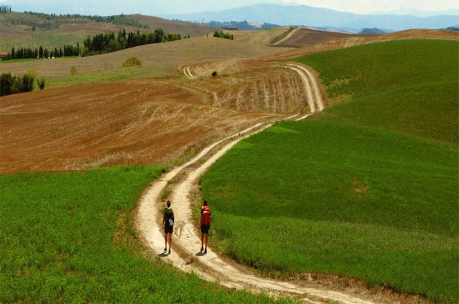 Via Francigena, il 6 luglio Ciuoffo a inaugurazione del 'Labirinto del Pellegrino' a Capannori