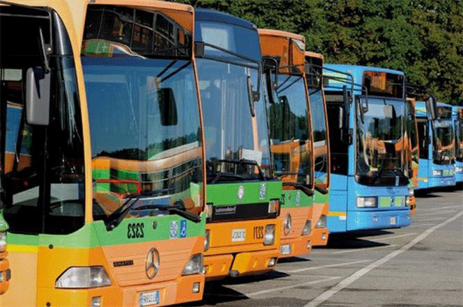 Turismo: navetta serale da Pietrasanta a Focette (e viceversa), mobilità alternativa ogni weekend d'estate