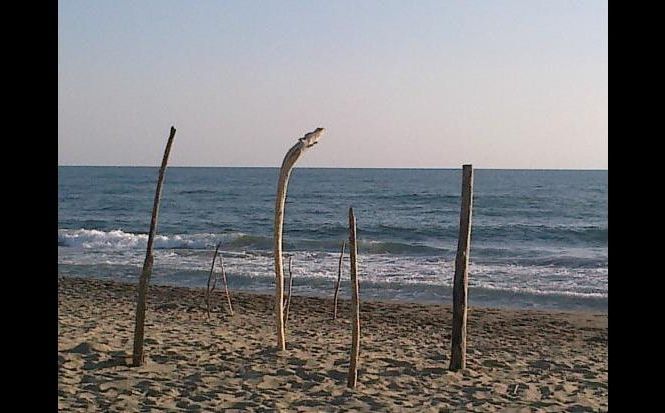 Cadavere in mare alla Lecciona: è di un 42enne di Orbetello