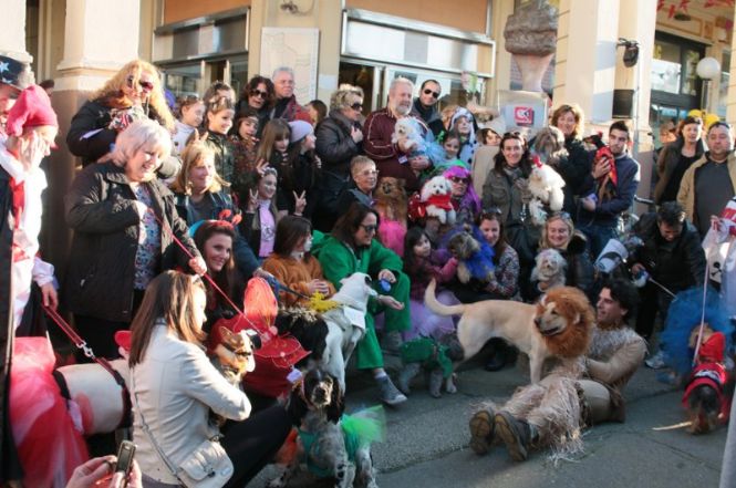 Carnevale con FIDO, torna la festa con gli amici a 4 zampe